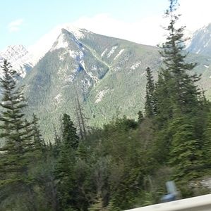 Meet your Posher, Trish